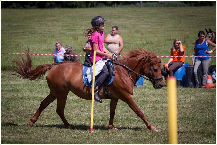 Mounted Games 246
